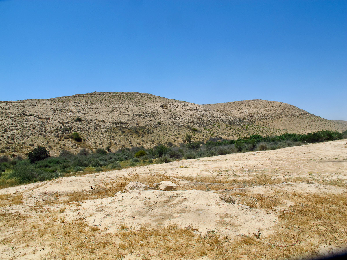 Негев, image of landscape/habitat.