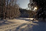 Северный Юг, image of landscape/habitat.