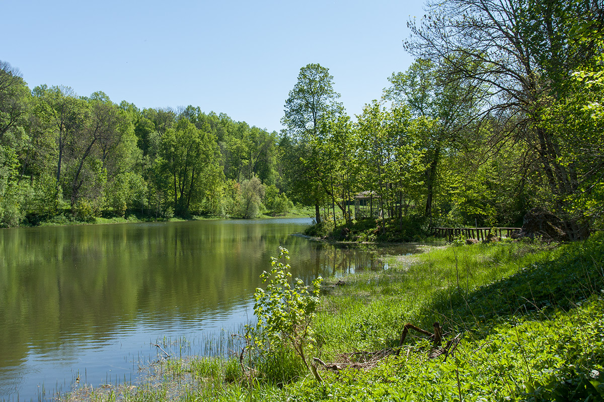 Гостилицы, image of landscape/habitat.