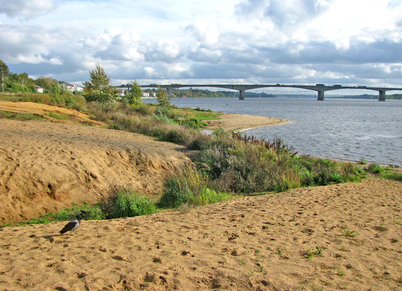 Горьковское водохранилище, image of landscape/habitat.