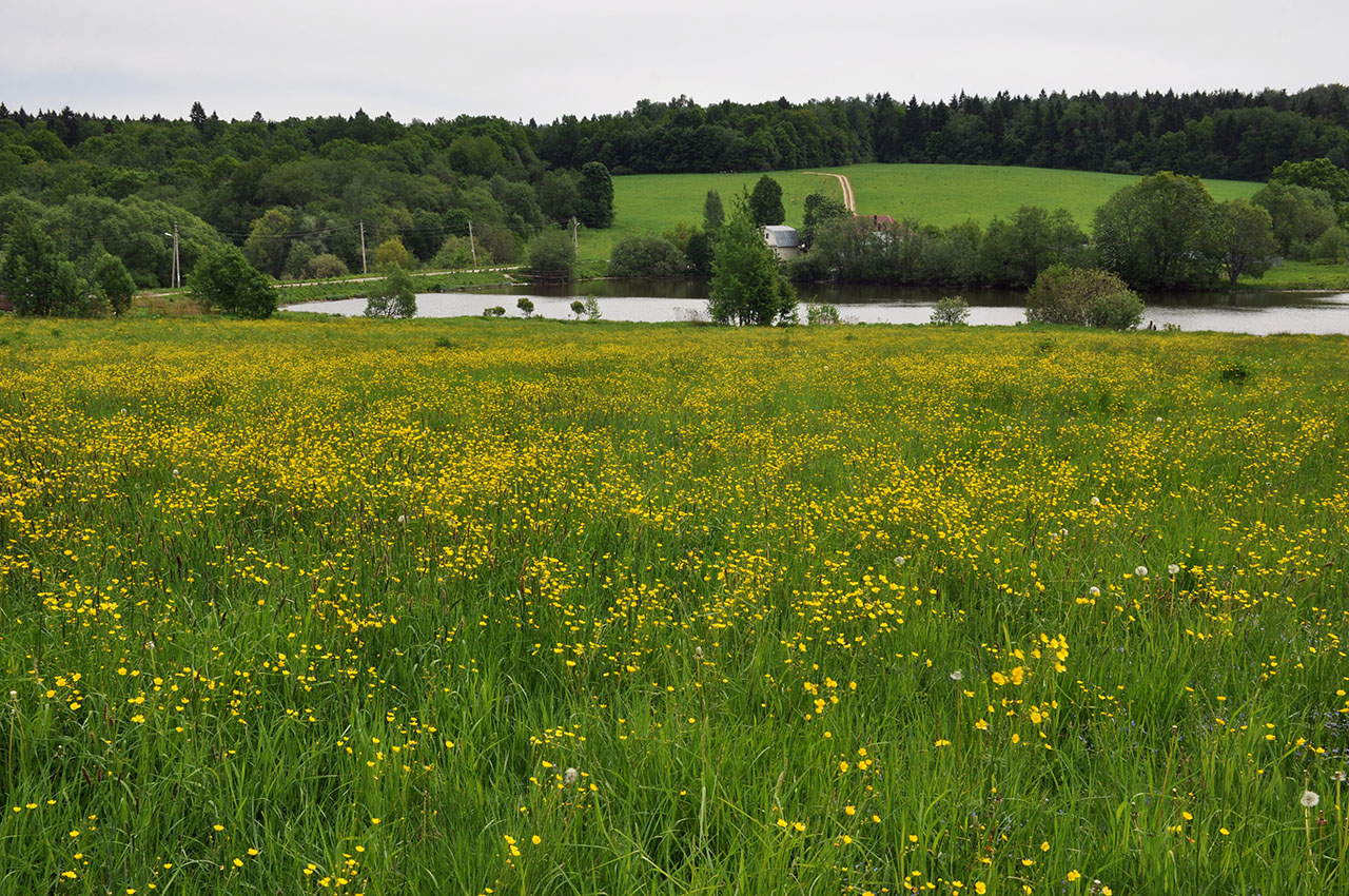 Мураново, image of landscape/habitat.