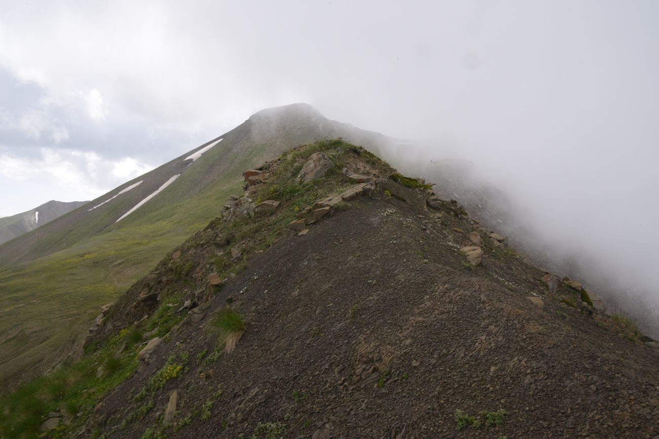 1 км от вершины горы Заинкорт, image of landscape/habitat.