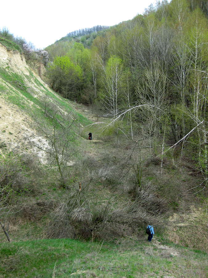 Трахтемиров, image of landscape/habitat.