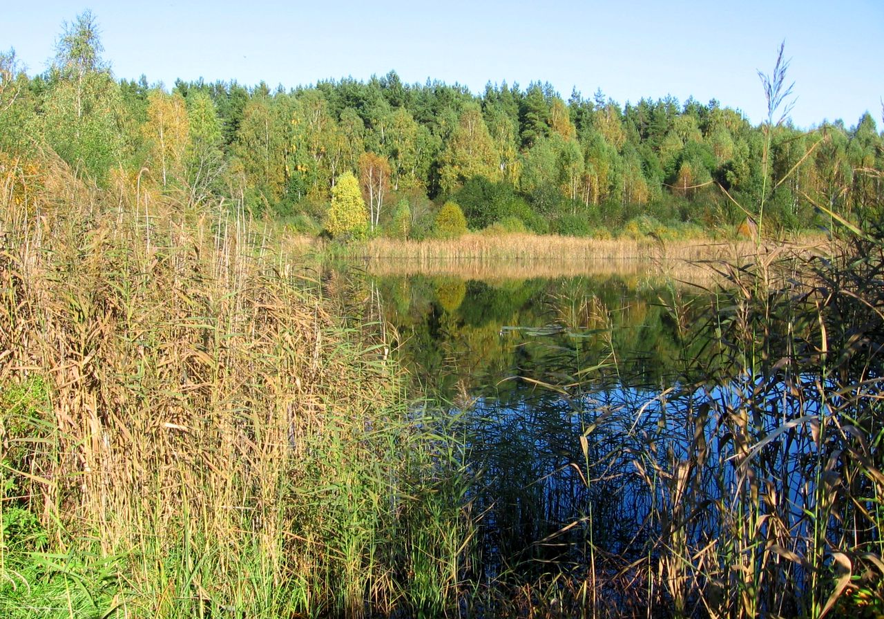 Отцеда, image of landscape/habitat.