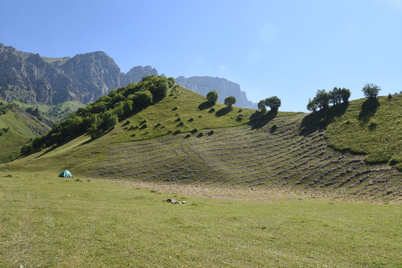 Урочище Хилиди, image of landscape/habitat.