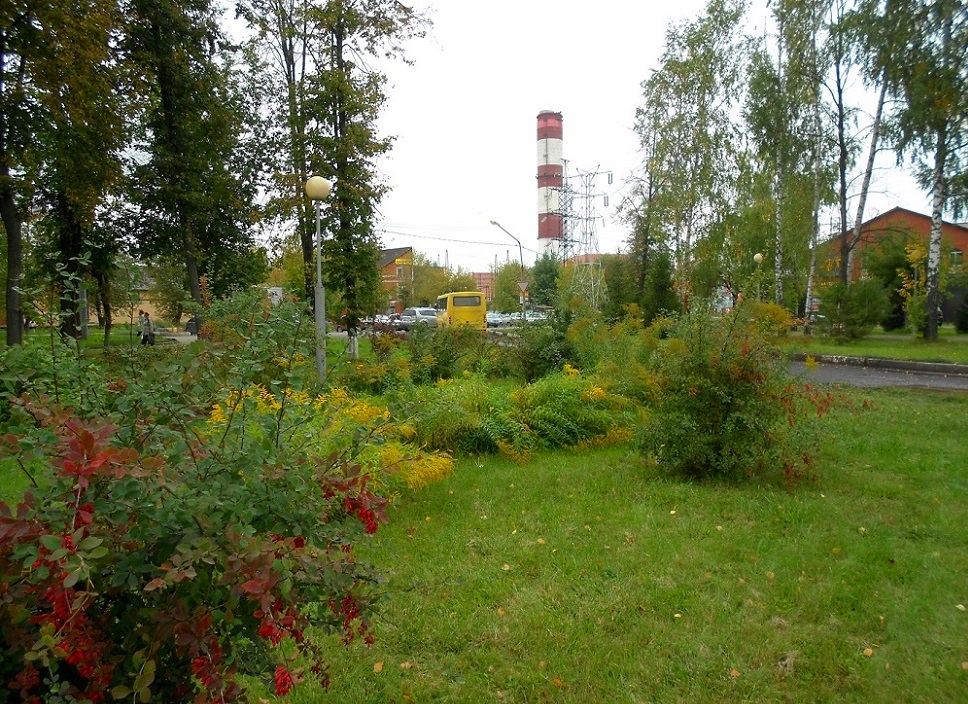 Электрогорск и его окрестности, image of landscape/habitat.