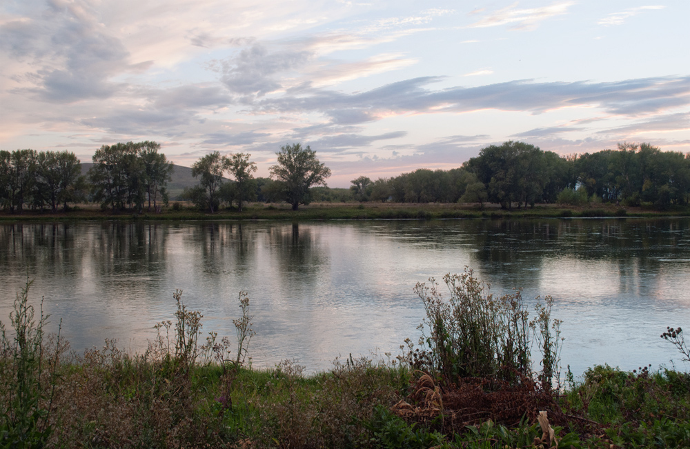 Окрестности села Кожохово, image of landscape/habitat.