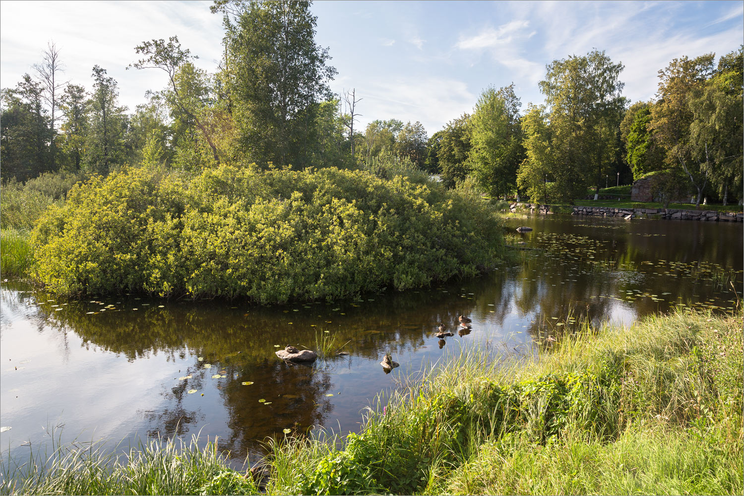 Приозерск, image of landscape/habitat.