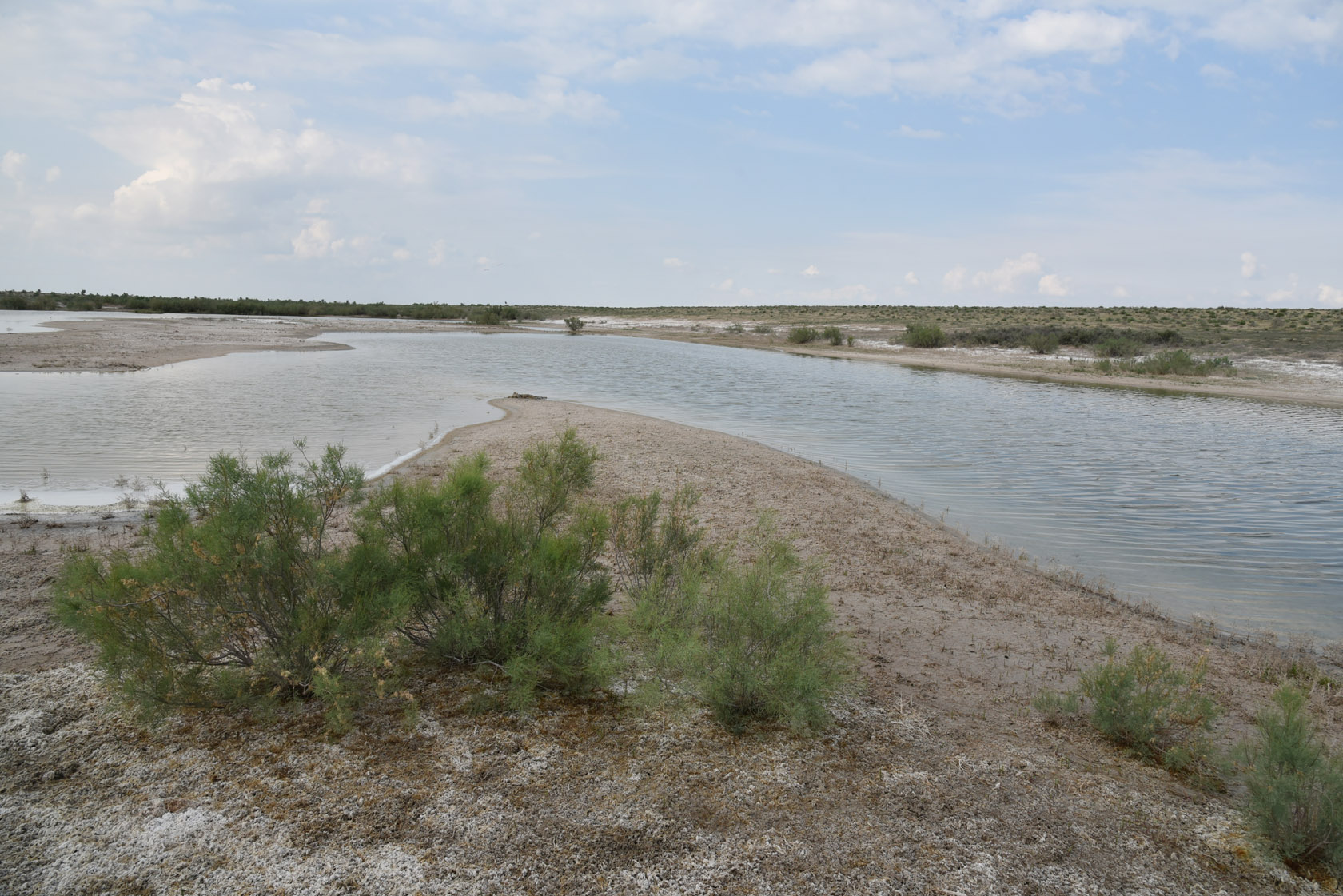 Тудакуль, image of landscape/habitat.