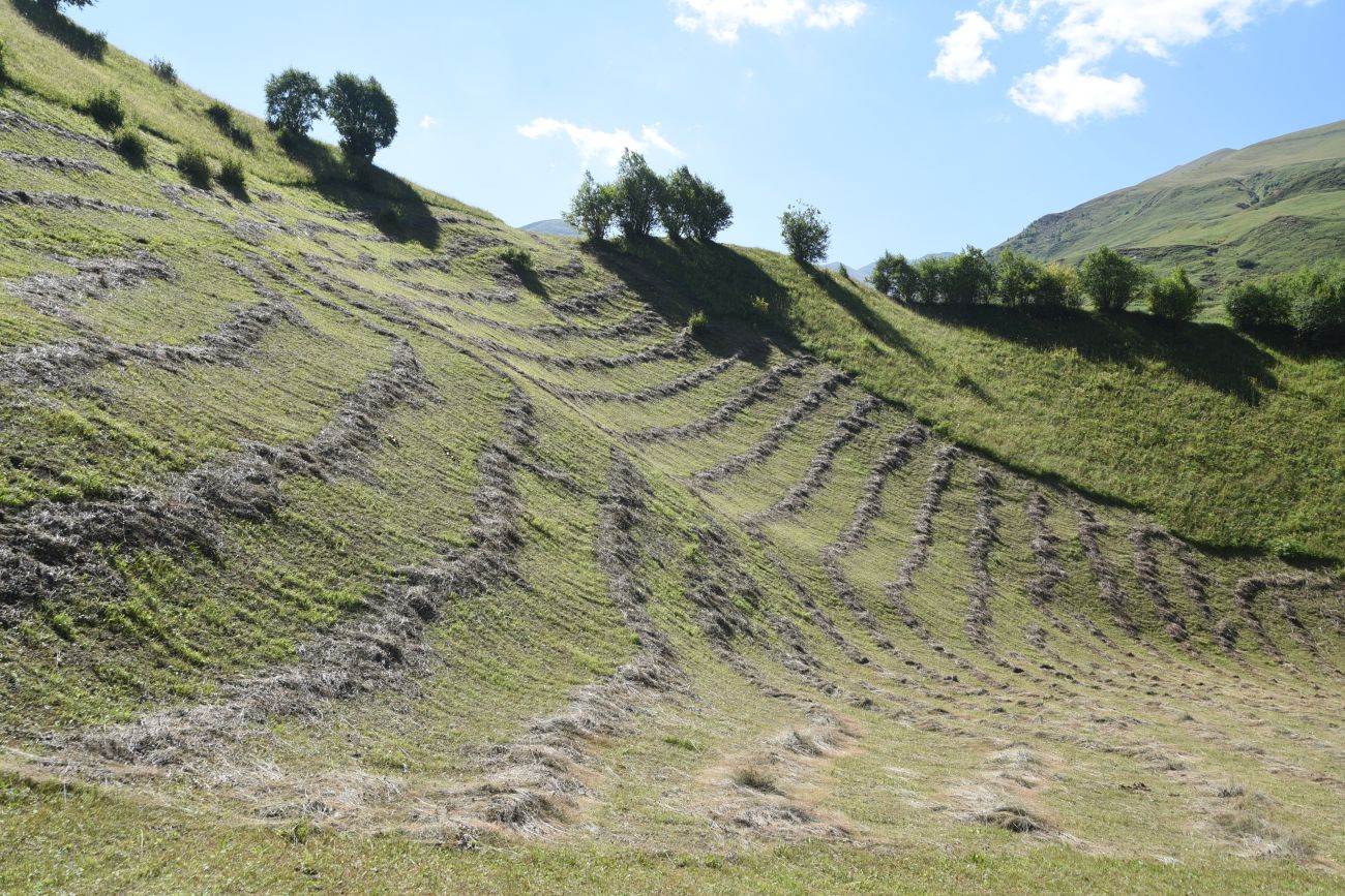 Урочище Хилиди, image of landscape/habitat.