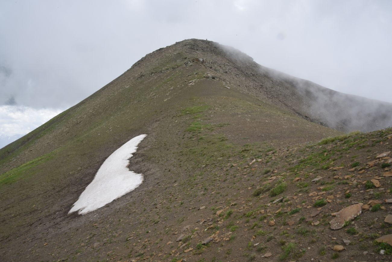 Гора Заинкорт, image of landscape/habitat.