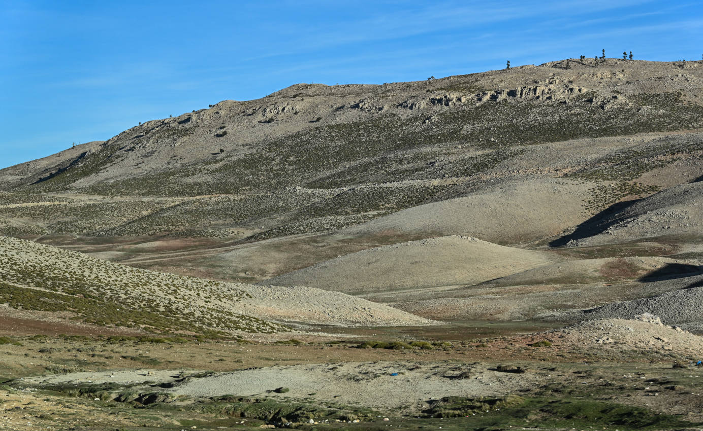 Национальный парк "Ифран", image of landscape/habitat.