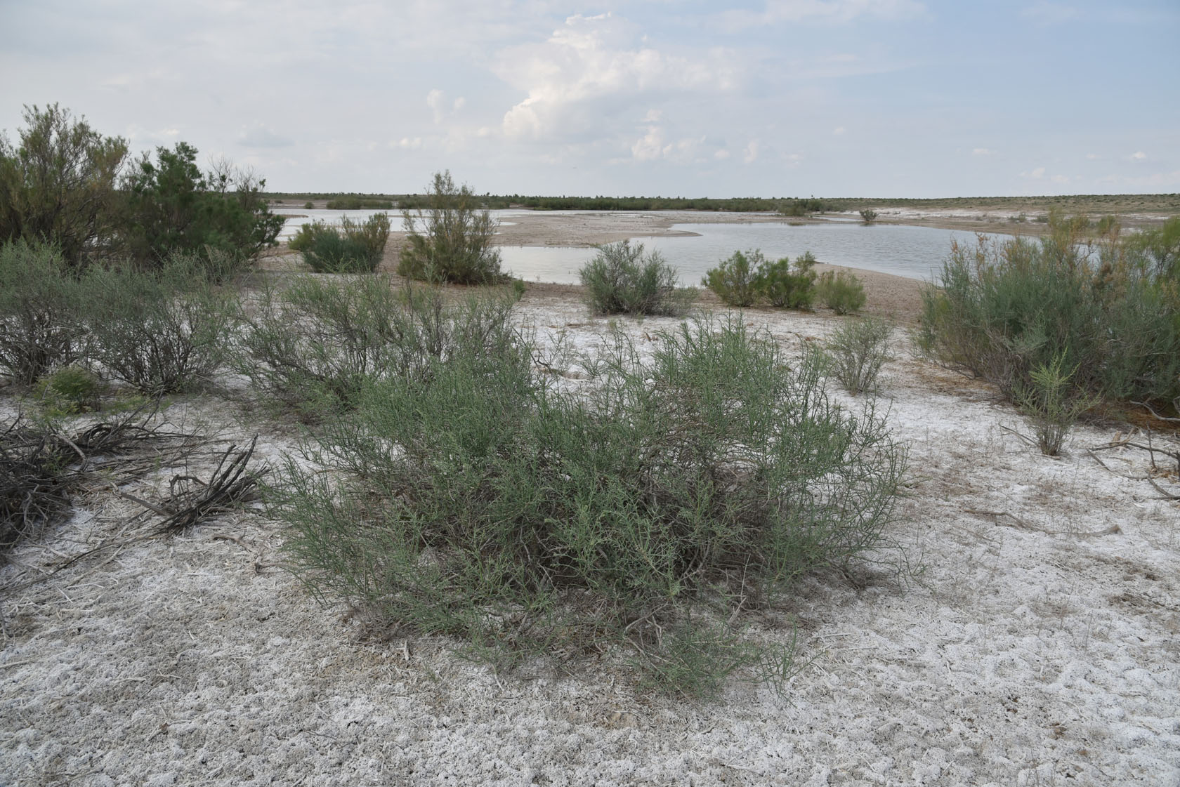 Тудакуль, image of landscape/habitat.