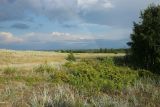 Image of landscape