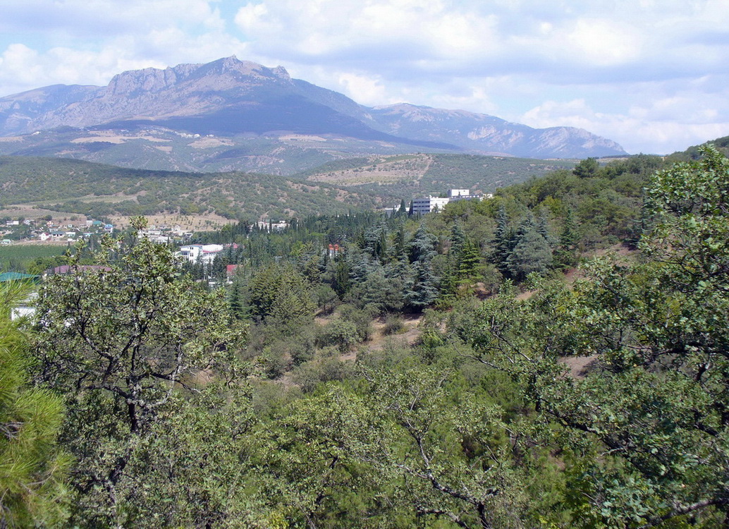 Алушта и окрестности, image of landscape/habitat.