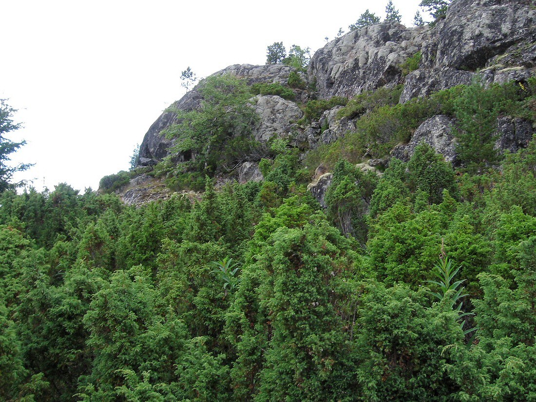 Умба, image of landscape/habitat.