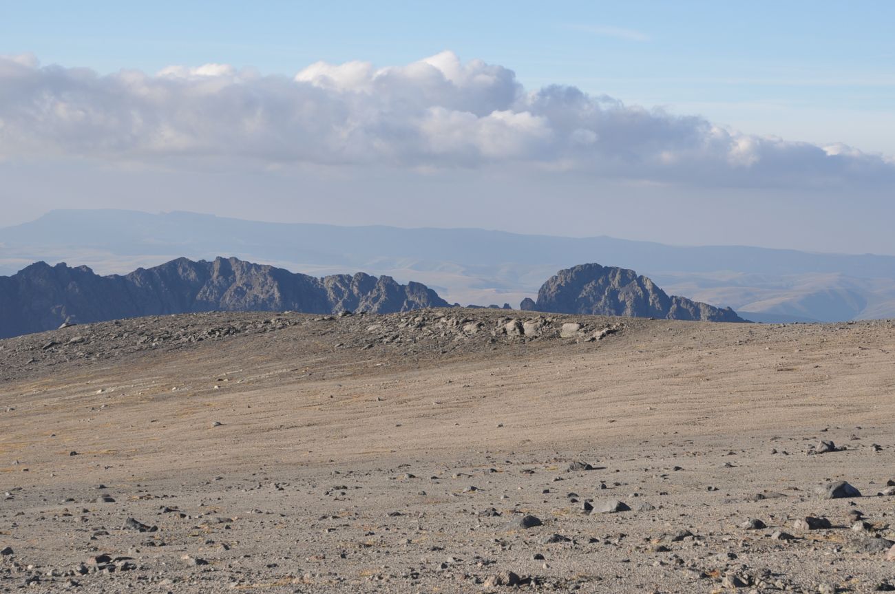 Урочище Лунная Поляна, image of landscape/habitat.