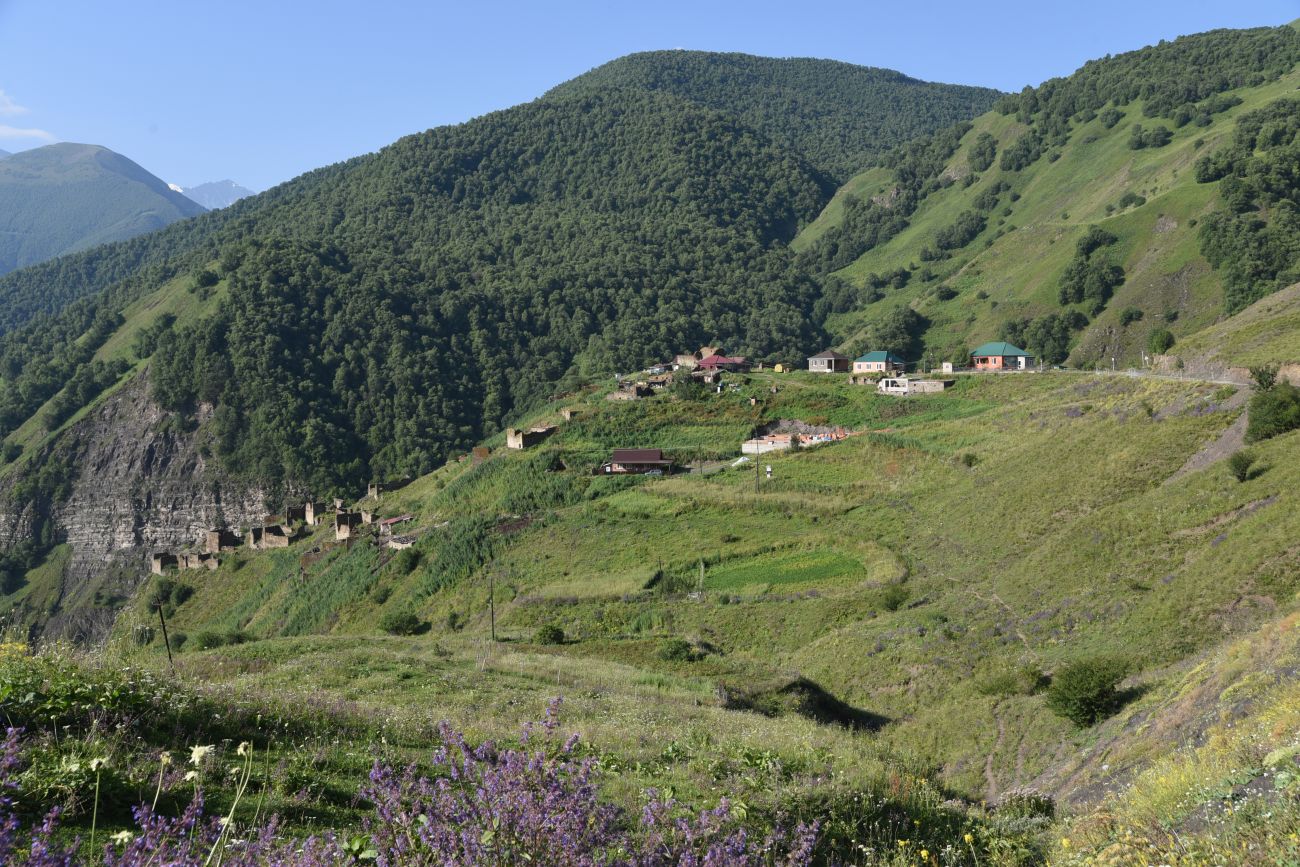 Шикарой и окрестности, image of landscape/habitat.