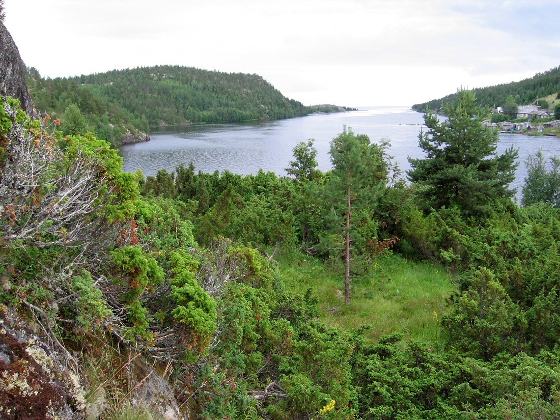 Умба, image of landscape/habitat.