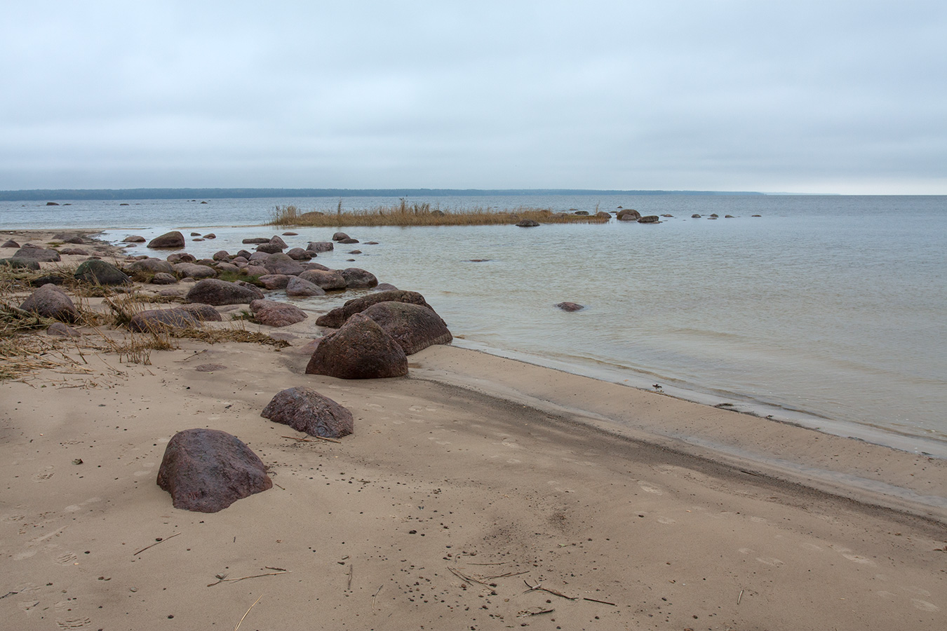 Мыс Дубовский, image of landscape/habitat.