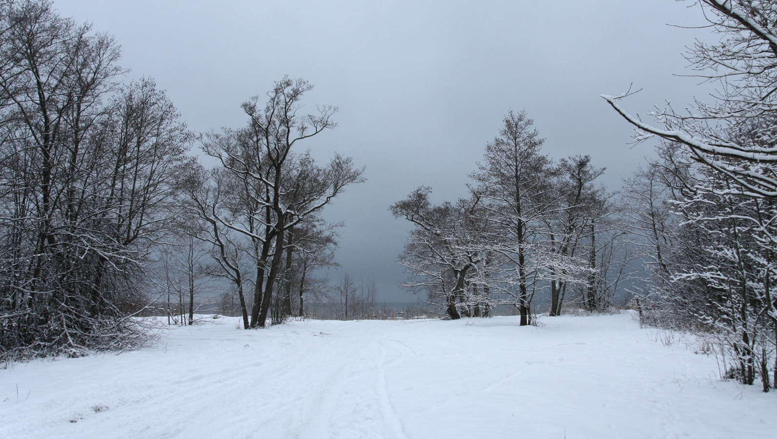 Каравалдай, image of landscape/habitat.