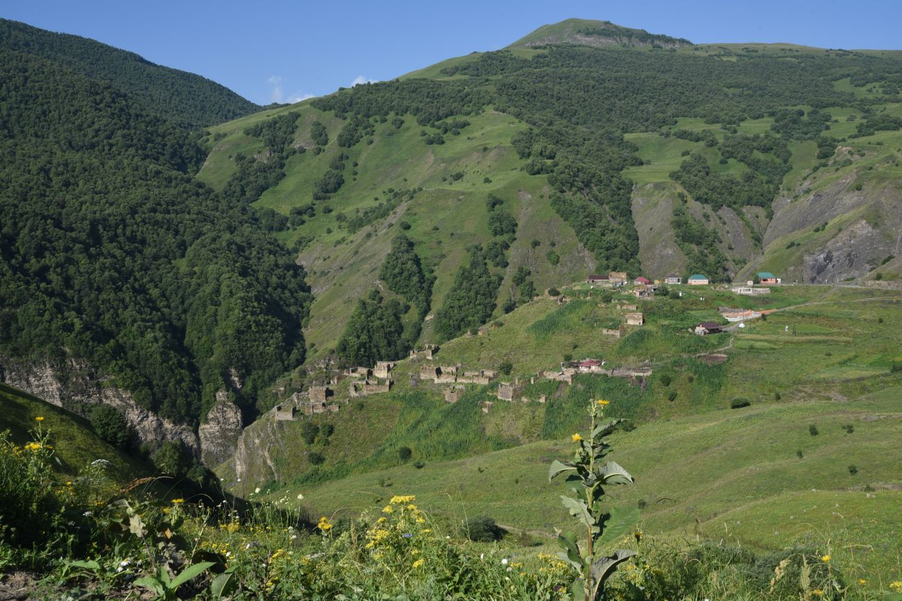 Шикарой и окрестности, image of landscape/habitat.