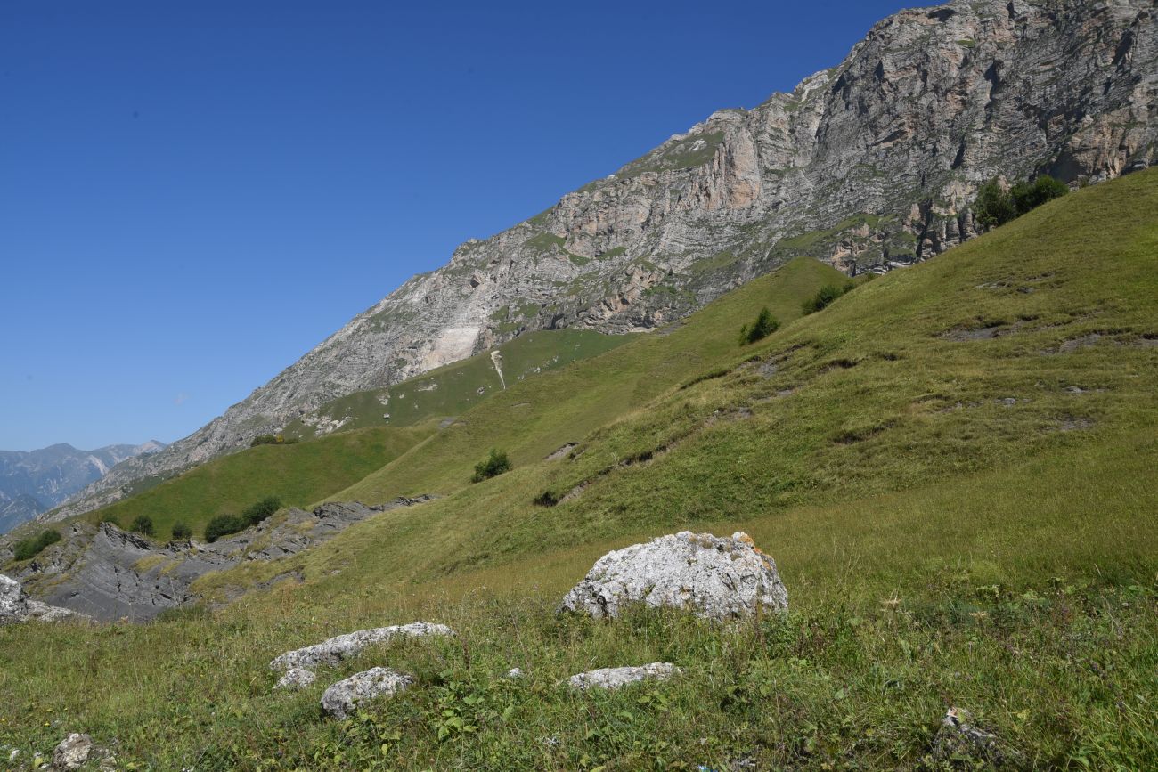 Урочище Хилиди, image of landscape/habitat.