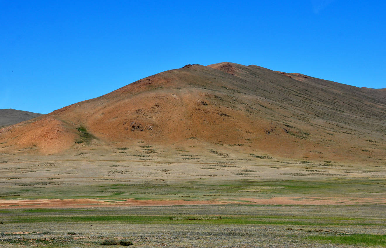 Перевал Оготор-Хамар-Даваа, image of landscape/habitat.