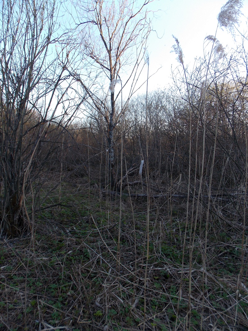 Брод, image of landscape/habitat.