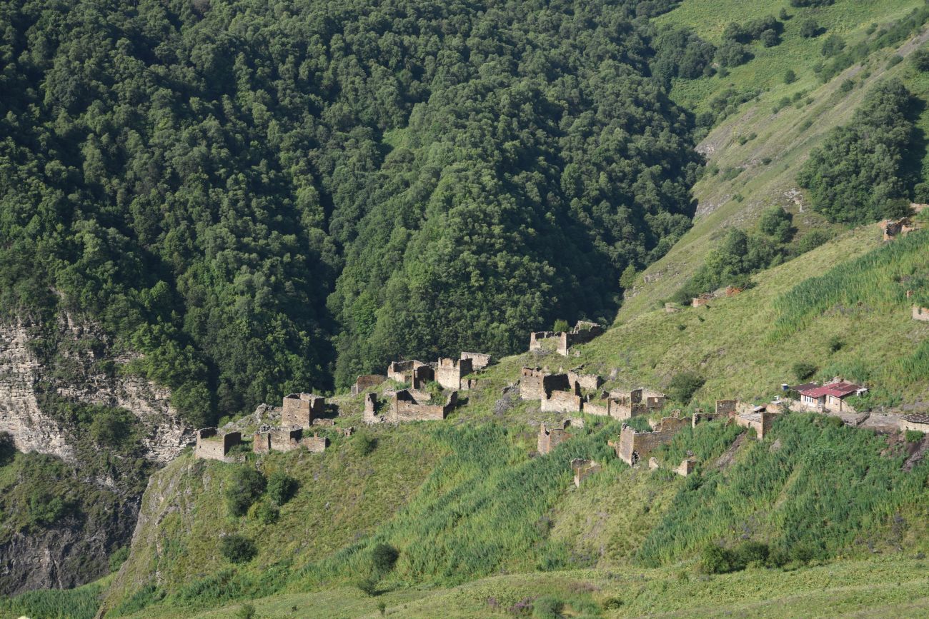 Шикарой и окрестности, image of landscape/habitat.