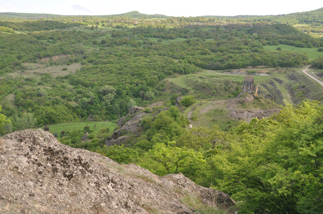 Окрестности села Гохнари, image of landscape/habitat.