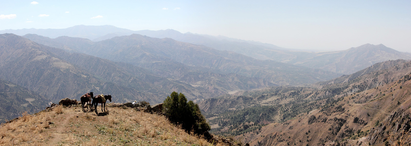 Верховье Бельдерсая, image of landscape/habitat.