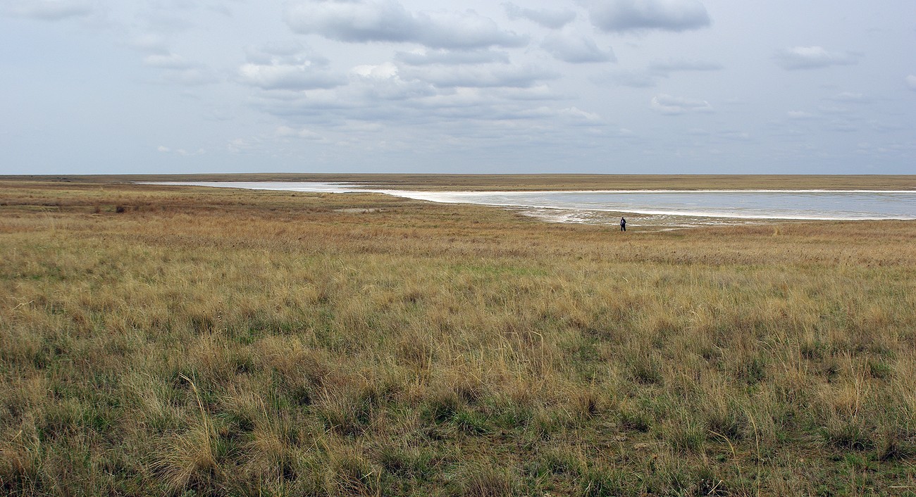 Иргиз, image of landscape/habitat.