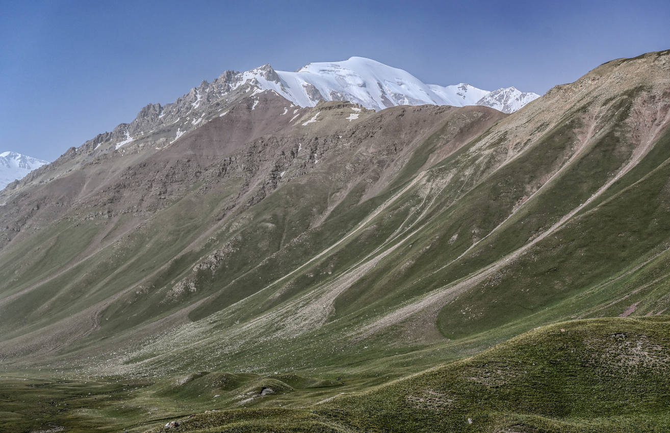 Гребень пика Петровского, image of landscape/habitat.