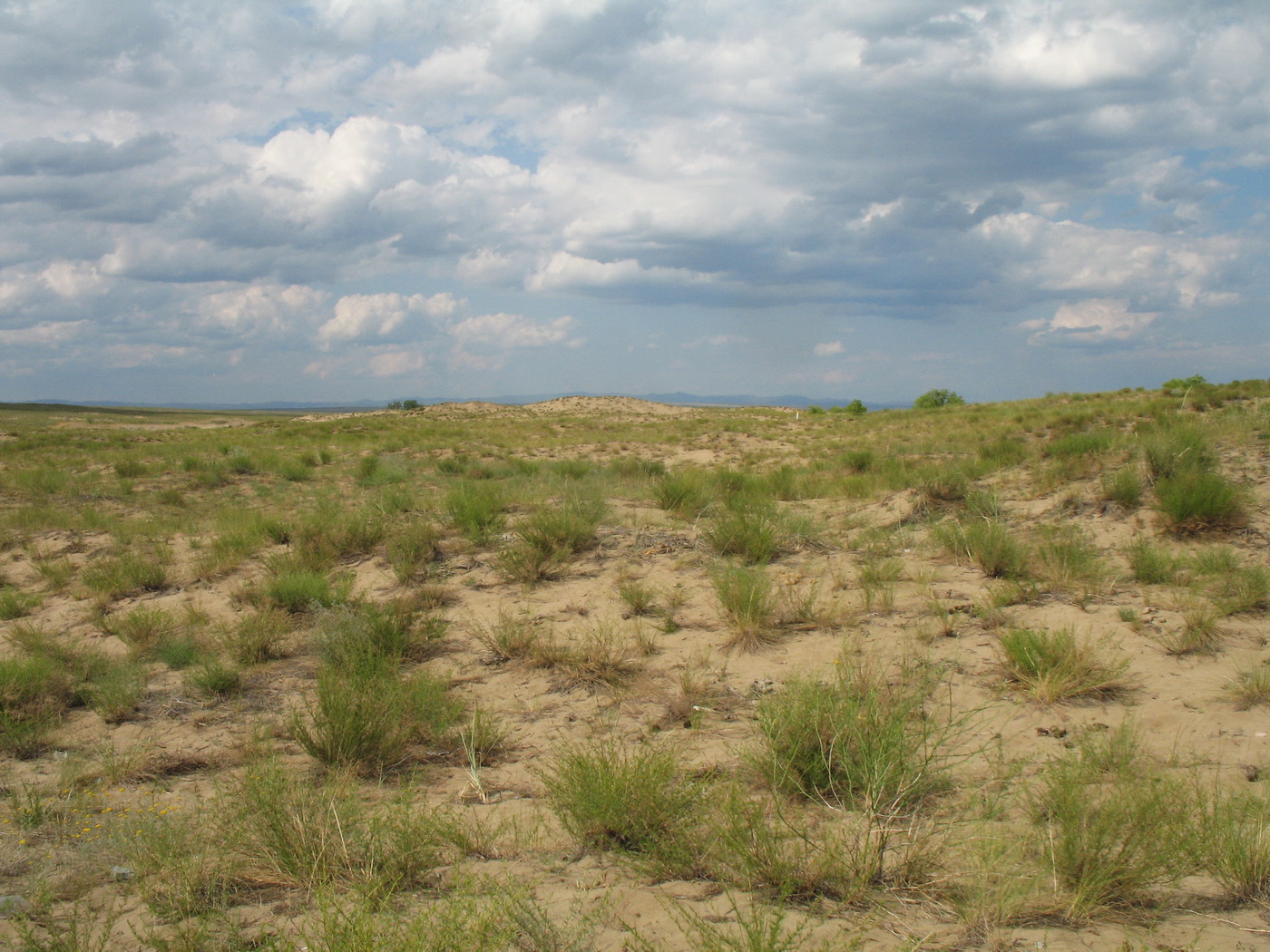 Казнаковская переправа, image of landscape/habitat.