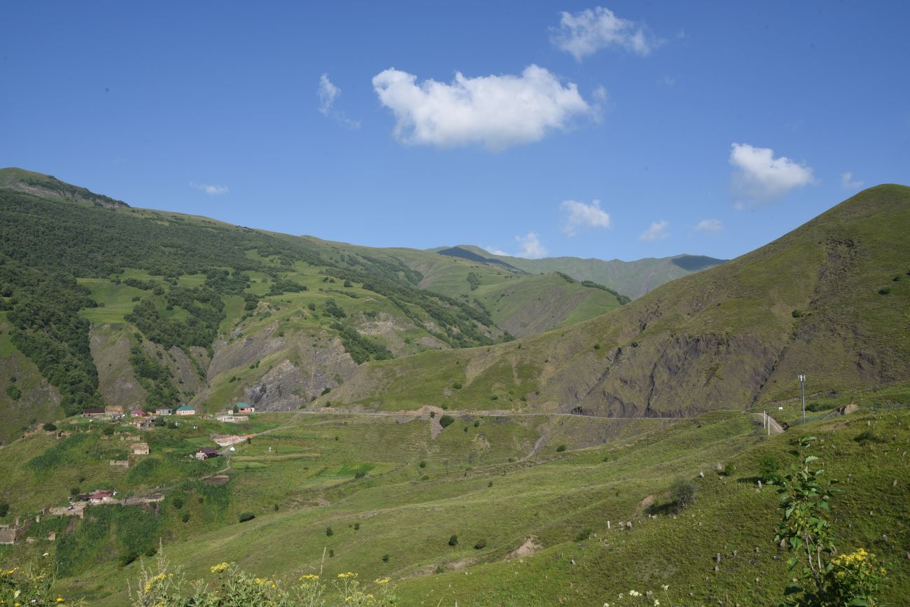 Шикарой и окрестности, image of landscape/habitat.