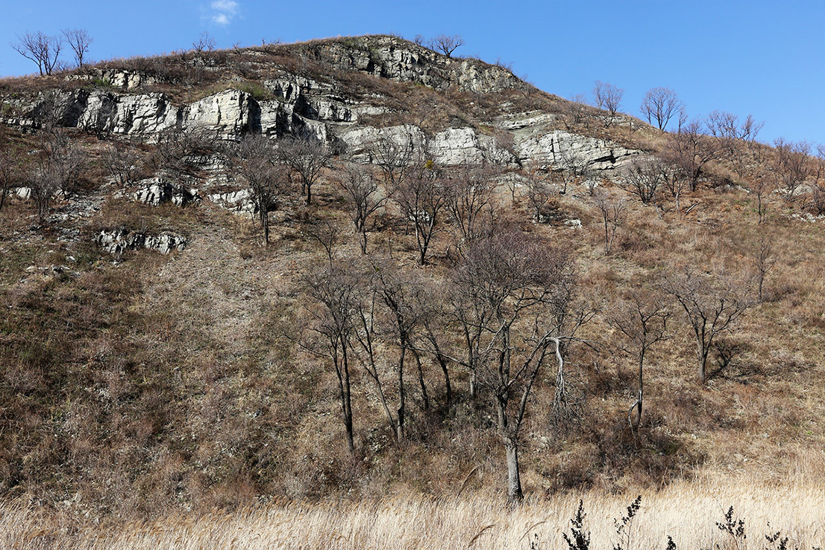 Гора Суходол, image of landscape/habitat.