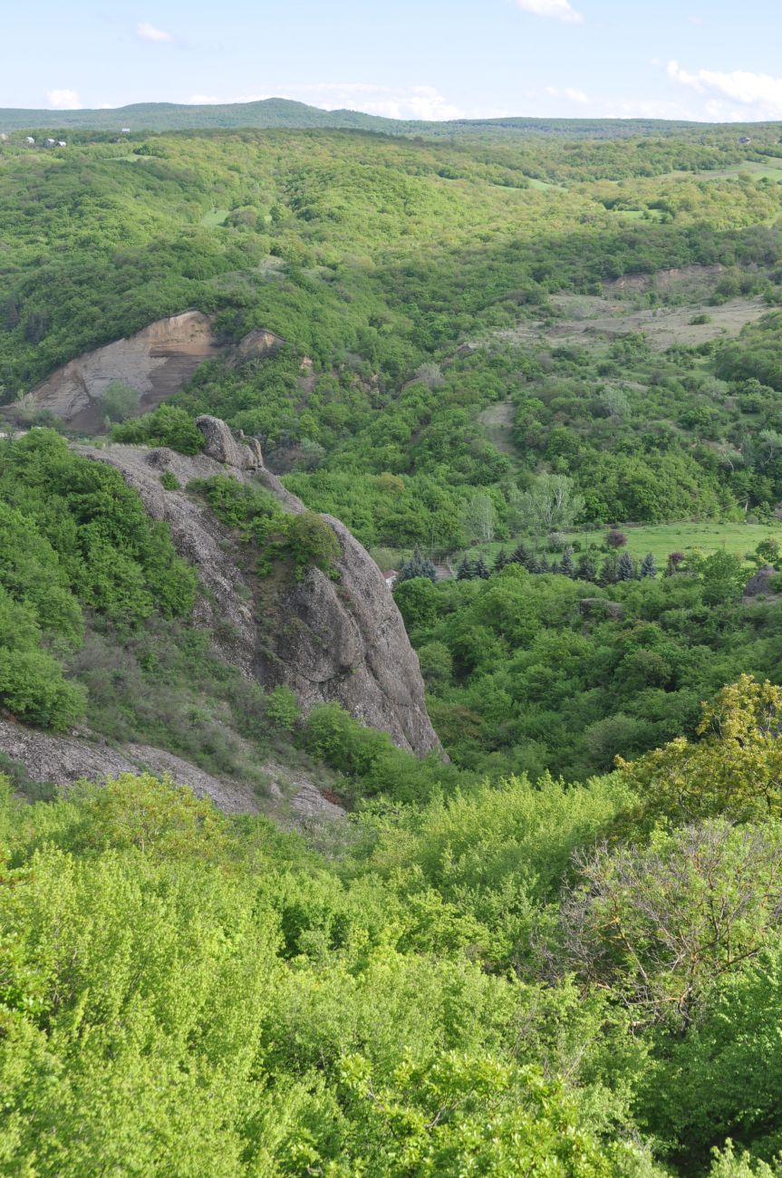 Окрестности села Гохнари, изображение ландшафта.