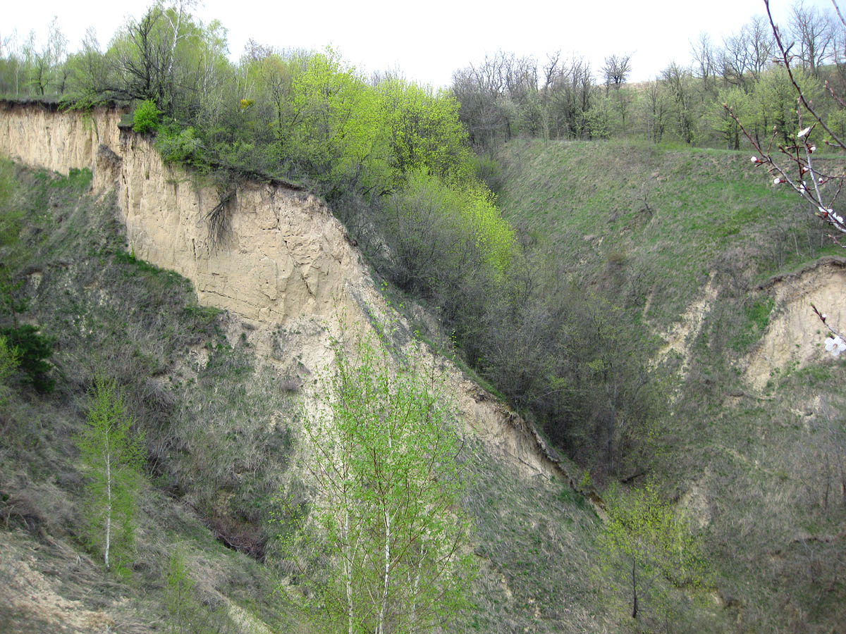 Трахтемиров, image of landscape/habitat.