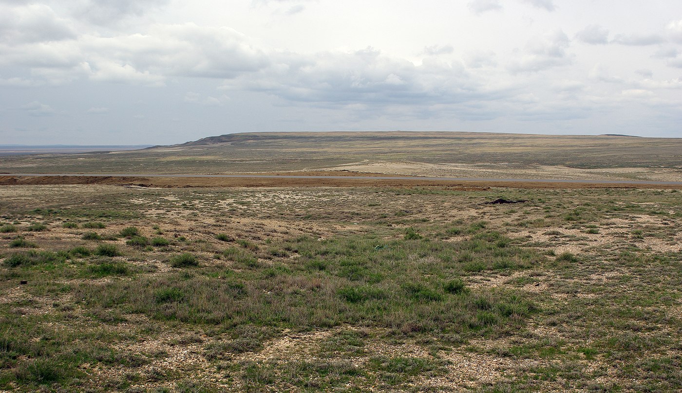 Иргиз, image of landscape/habitat.