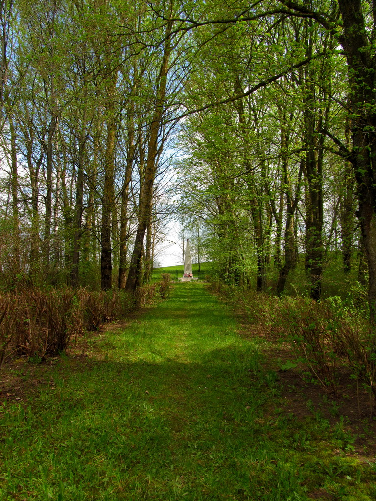 Хутор Слуховичи, image of landscape/habitat.