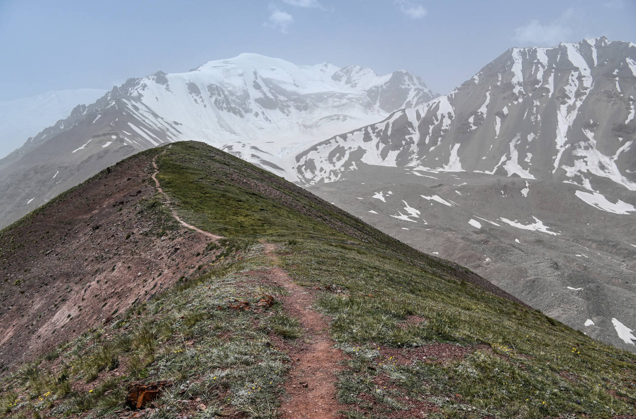 Гребень пика Петровского, image of landscape/habitat.