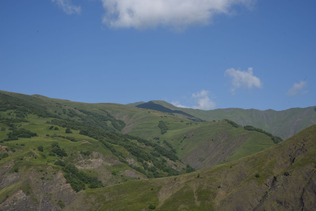 Окрестности горы Чархунышкорт, image of landscape/habitat.