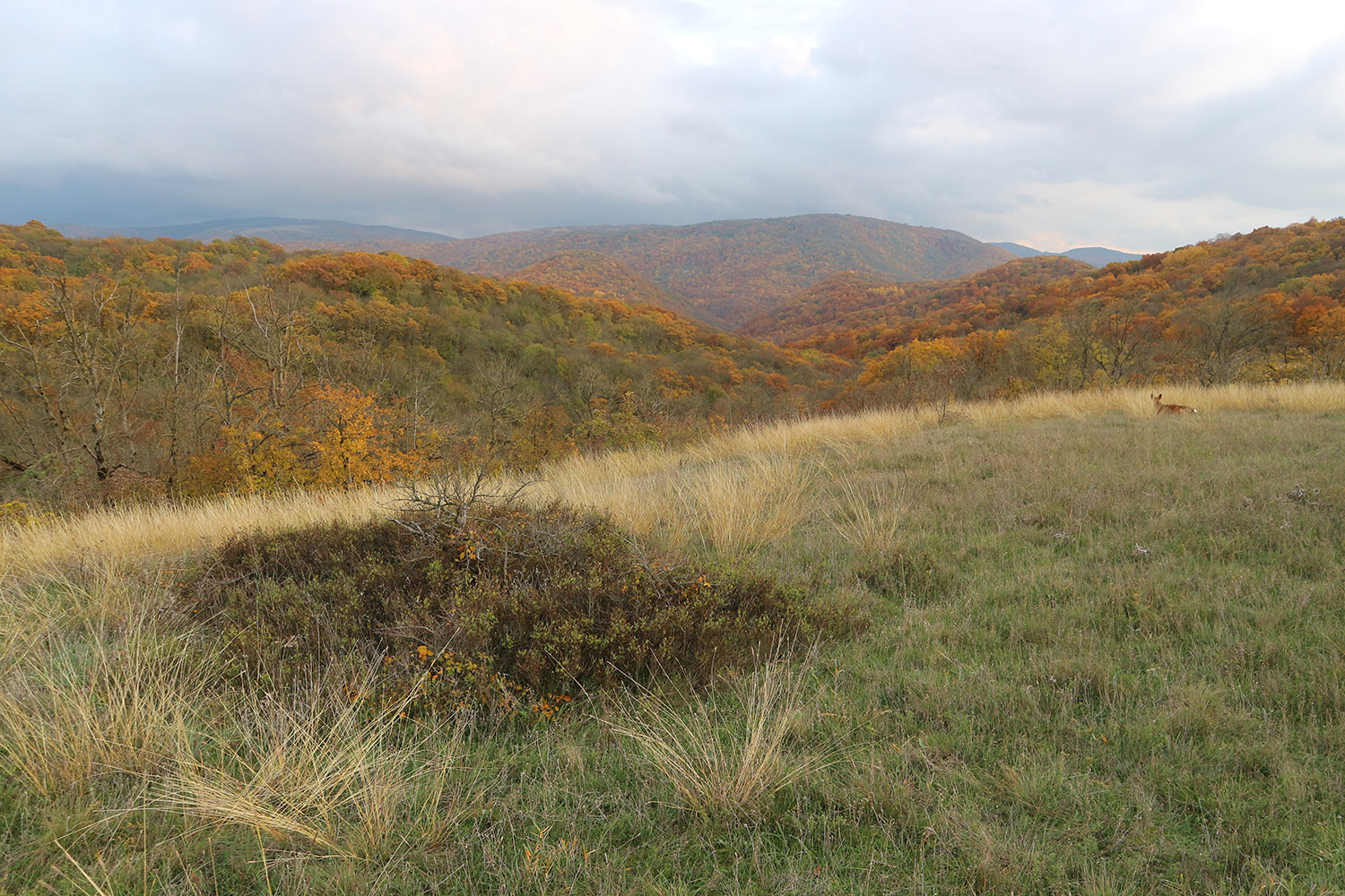 Вершина 309, image of landscape/habitat.