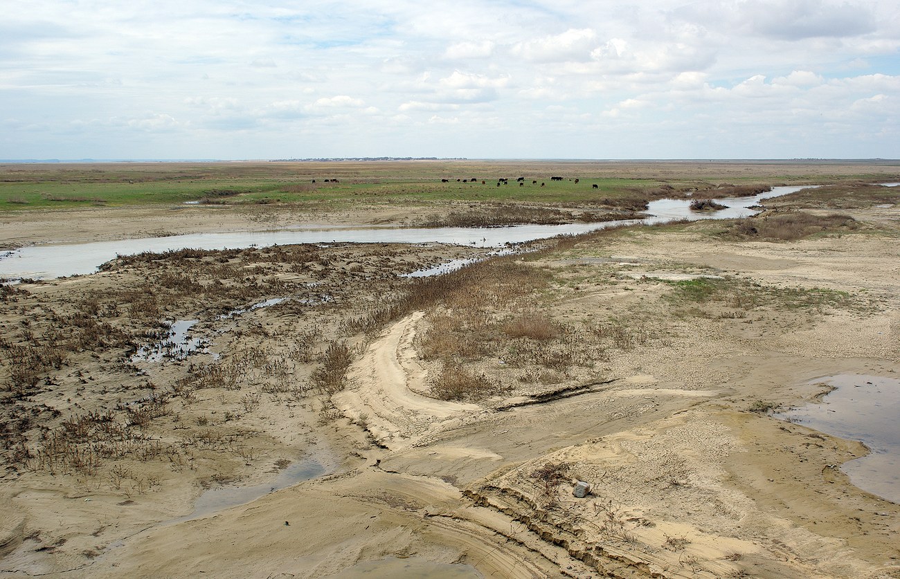 Иргиз, image of landscape/habitat.