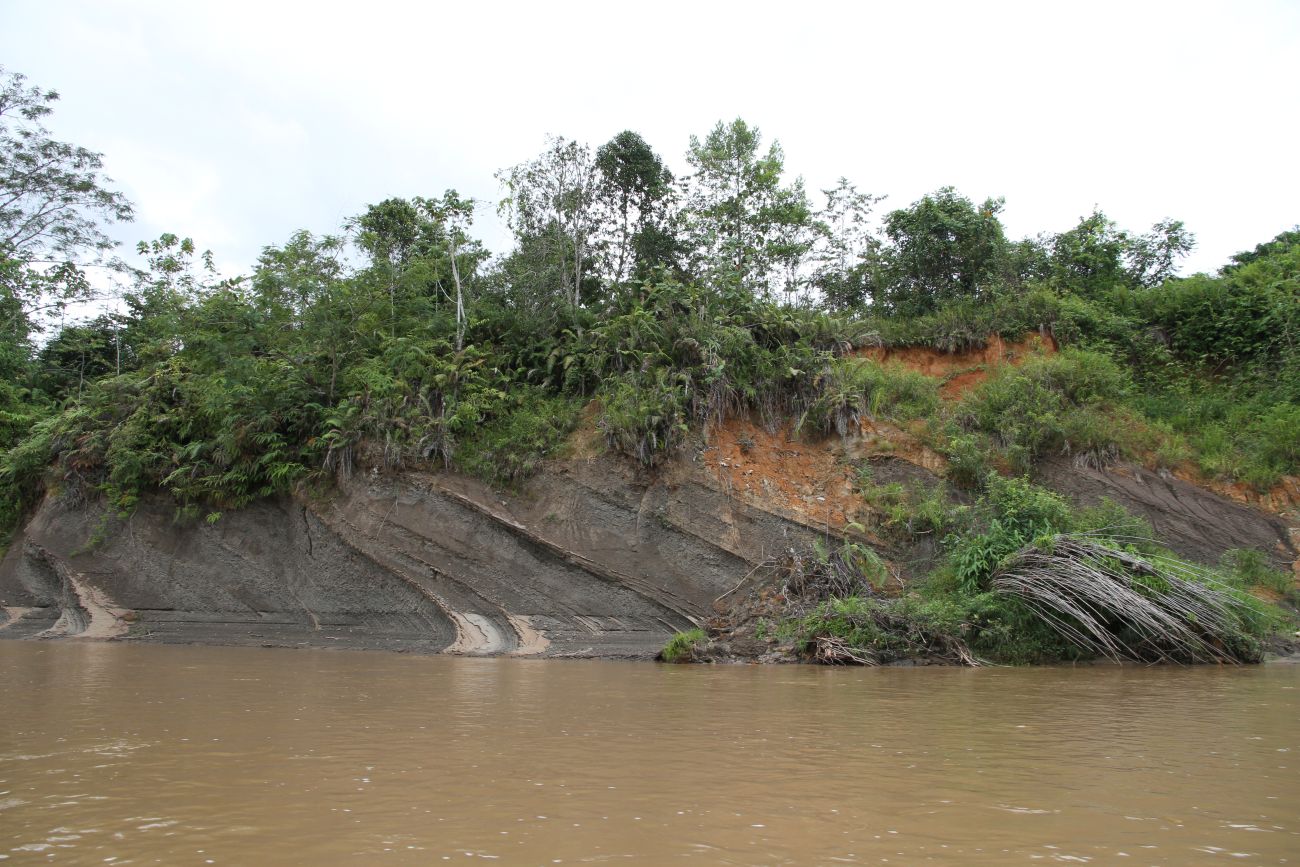 Окрестности кампонга Лабанг, image of landscape/habitat.