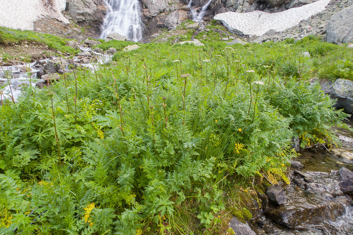 Верхний Имеретинский водопад, image of landscape/habitat.