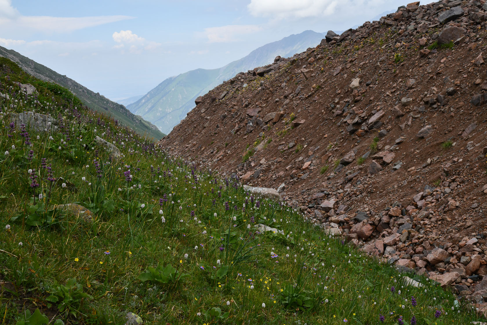 Перевал Талгар, image of landscape/habitat.