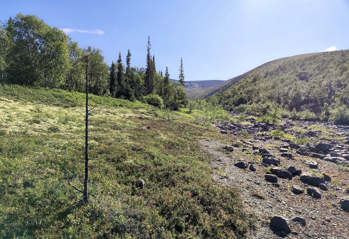 Ручей Маннепахкуай, image of landscape/habitat.