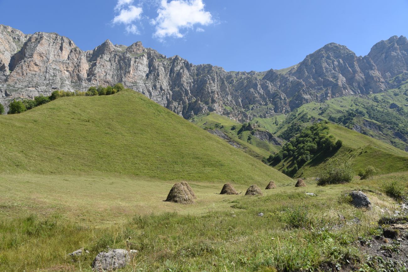 Урочище Хилиди, image of landscape/habitat.